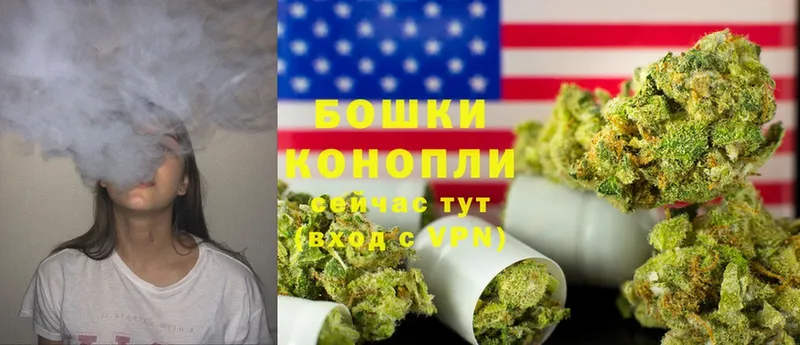 Каннабис OG Kush  Крымск 